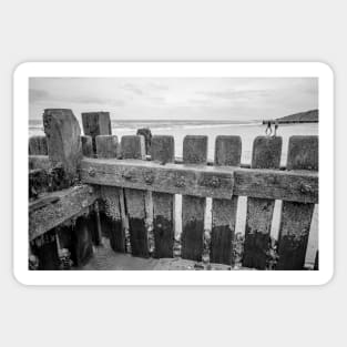 Close up of wooden sea defences protecting against coastal erosion Sticker